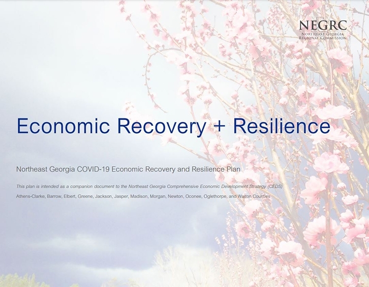 Northeast Georgia Economic Recovery + Resilience Plan